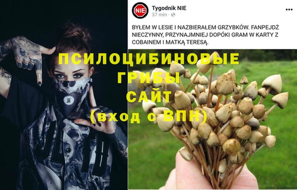 мефедрон Алексеевка