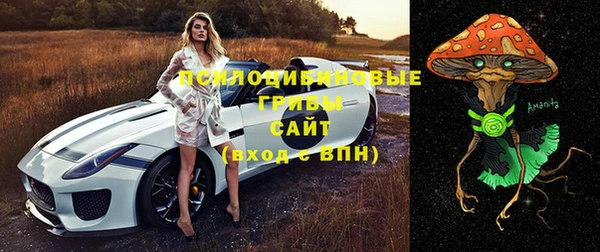 стаф Анжеро-Судженск