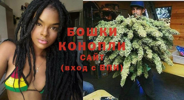гидра Аркадак