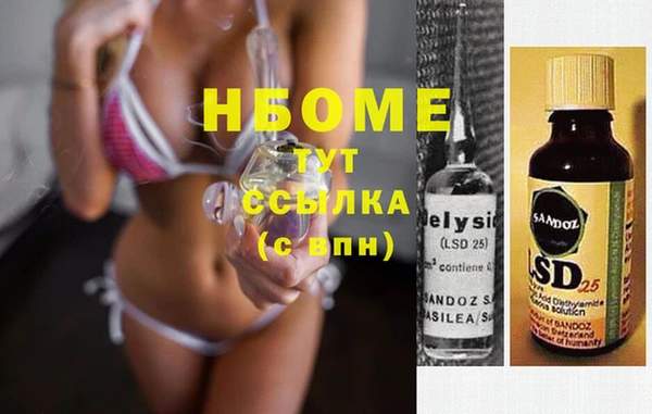 прущие грибы Алзамай