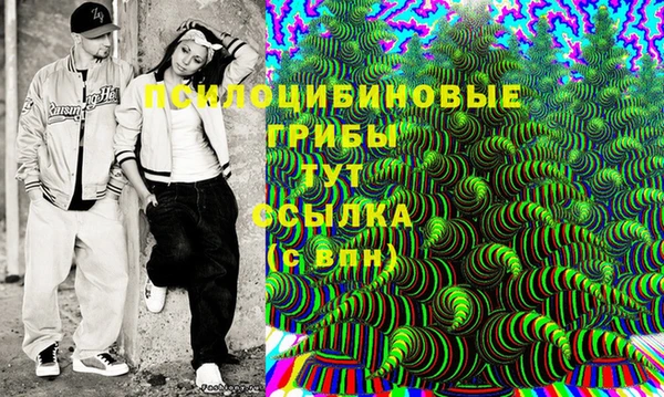 гидра Аркадак