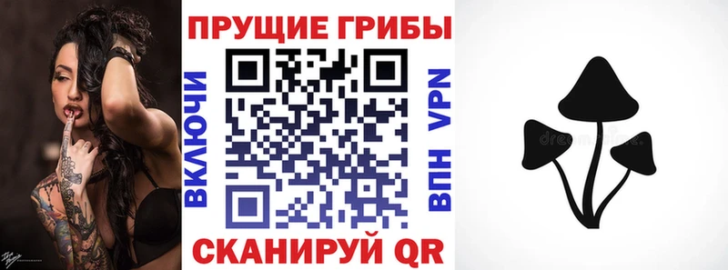 где продают наркотики  Дмитриев  Псилоцибиновые грибы мухоморы 
